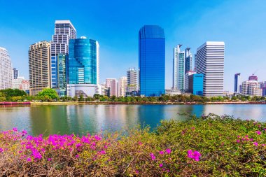 Yüksek binaların ve doğa