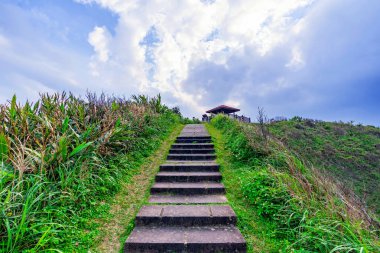 Dağ yolu merdiven ve doğa