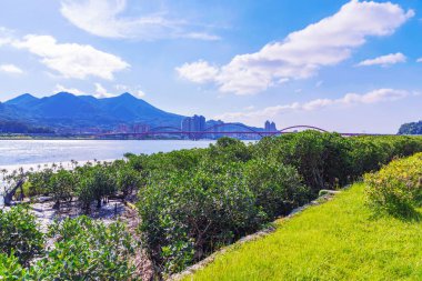 Taipei riverside park görünümünü