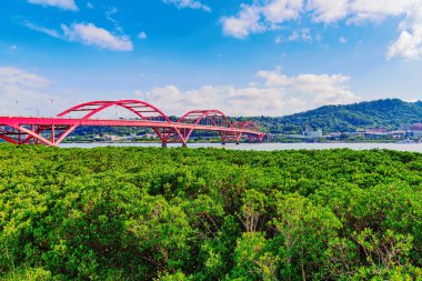 Guandu Bridge doğal görünümü