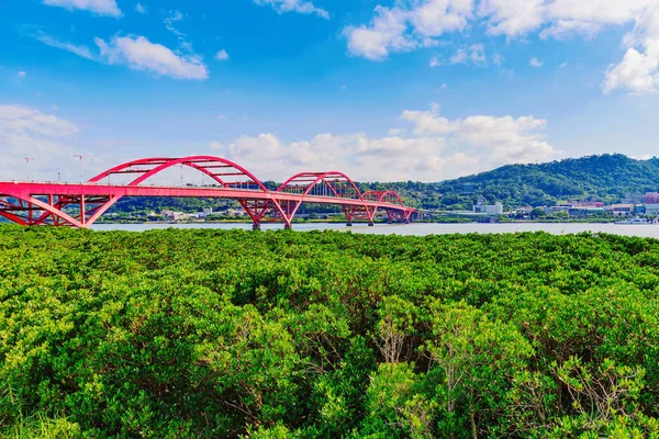 Malowniczy widok na most Guandu — Zdjęcie stockowe