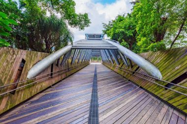 Köprü bir parkta doğa ile