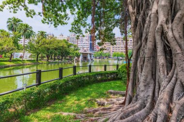 Taichung Park doğa