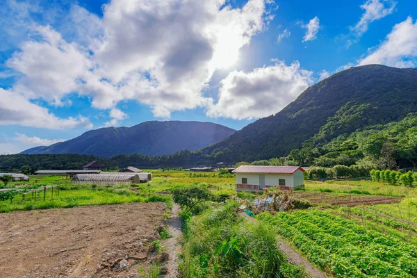 Terres agricoles de la campagne à Taiwan — Photo