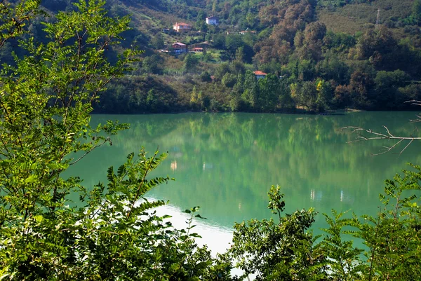 Forest and lake in the Turkey — Stock Photo, Image