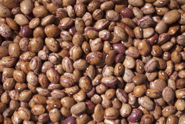 Barbunya fasulyesi arka plan için