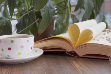 Sevgi ve kitap