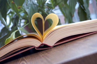 Sevgi ve kitap
