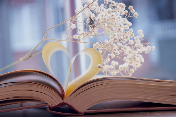 Amor e livro — Fotografia de Stock