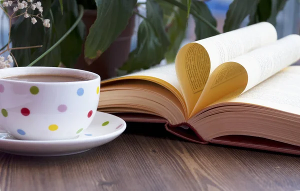 Sevgi ve kitap