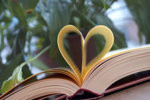 Amor e livro — Fotografia de Stock