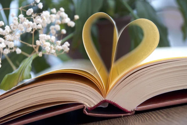 Liebe und Buch — Stockfoto