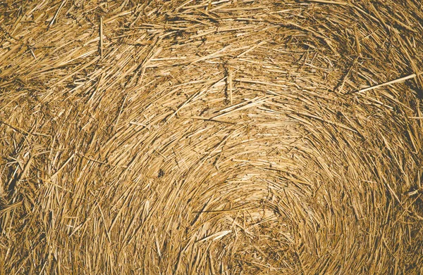 Χρυσή haystack βρίσκεται κουλουριασμένη κάτω από τον ήλιο — Φωτογραφία Αρχείου