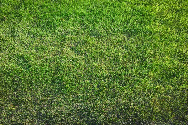 Bright green smooth sheared, manicured lawn — Stock Photo, Image