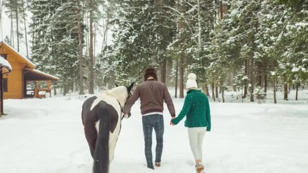 Liebespaar Mit Pferd Auf Ranch — Stockvideo