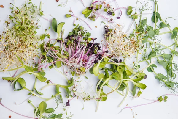 Verschiedene Frische Kräuter Wachsen Töpfen Einer Rustikalen Holzkiste Freien Garten Stockbild