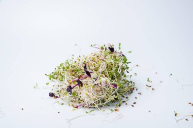 Kasede buğday tohumu