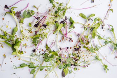 Beyaz rustik arka plan, brokoli, marul, kereviz, fasulye, biber, bezelye, Brüksel lahanası, kivi, avokado...,