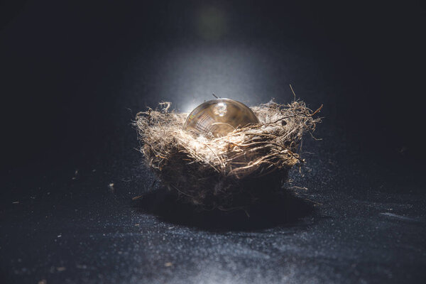 Натюрморт с яйцами и молоком у окна
