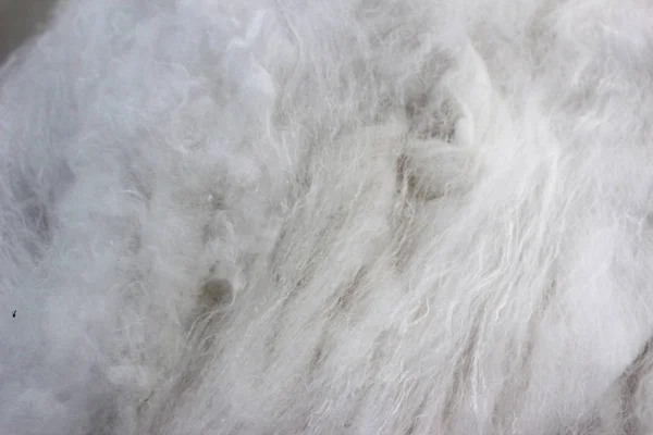 İpekböceği koza çıkarılan iş parçacığı yumuşak kumaş. 