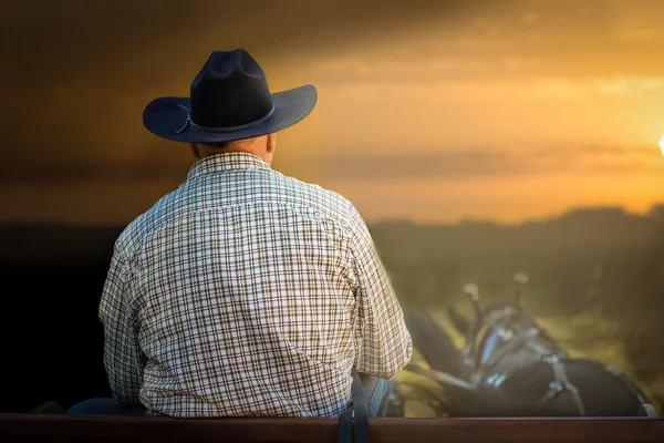 Cowboy rijden een paard aangedreven wagen, in een prachtige zonsondergang out in land of woestijn. — Stockfoto
