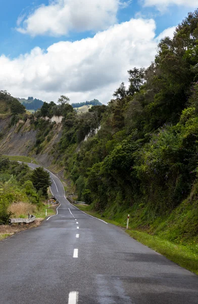 Einspurige Straße in Neuseeland — Stockfoto