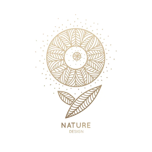 植物元素的标志。花瓣的圆形抽象花朵。天然产品、花店、化妆品及生态概念、健康、温泉及瑜伽中心设计的线形标志. — 图库照片