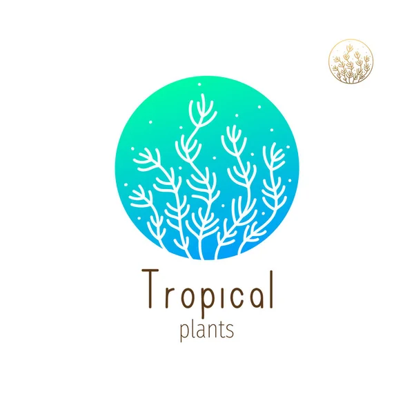 Logotipo da selva tropical —  Vetores de Stock