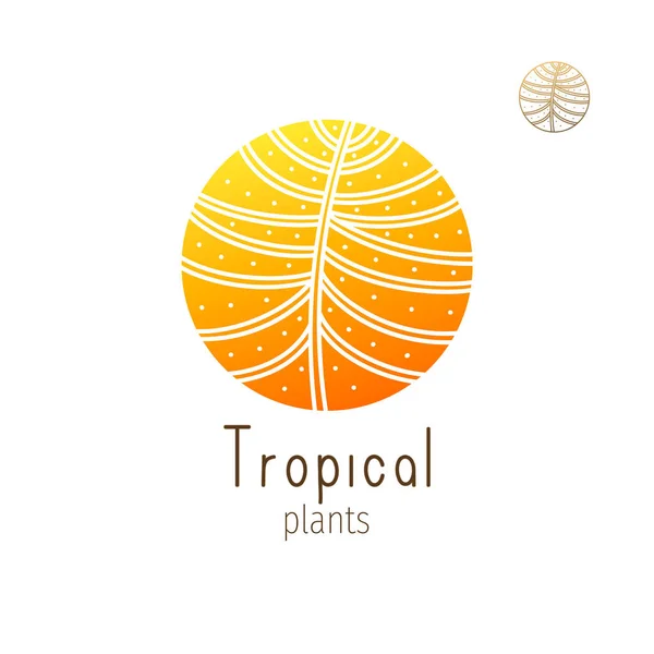 Logotipo da selva tropical —  Vetores de Stock