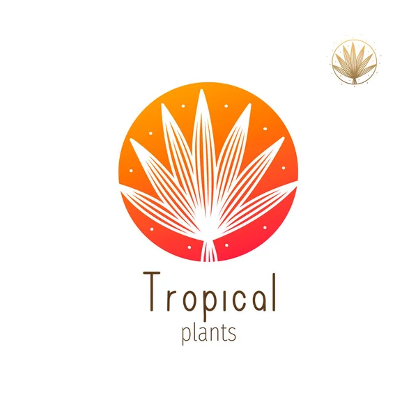 Логотип тропических джунглей — стоковый вектор