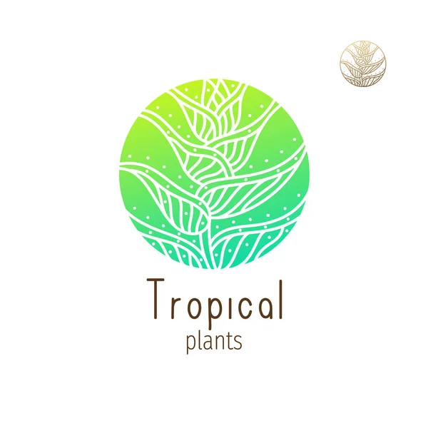 Logo della giungla tropicale — Vettoriale Stock
