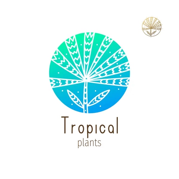 Logotipo da selva tropical —  Vetores de Stock