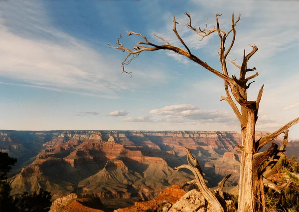 Büyük Kanyon manzara ABD