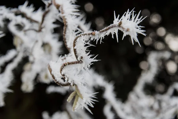 Fantastic Ice Formations — Stock Photo, Image