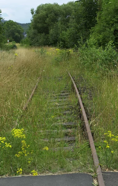 Vahşi demiryolu çalıştırmak