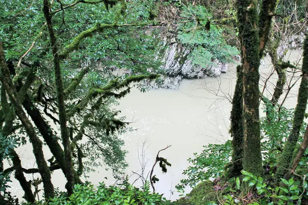 Istana batu dan kastil di pulau St. Lawrence River . — Stok Foto