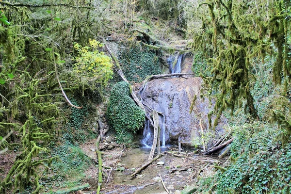 Reliquia Reserva de la Biosfera Caucásica . —  Fotos de Stock