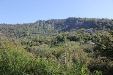 Kalıntı biyosfer rezerv Kafkas.