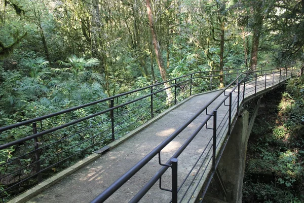 Reliquia Reserva de la Biosfera Caucásica . —  Fotos de Stock