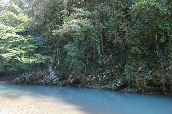 Relic Biosphere Reserve kaukasiska. — Stockfoto