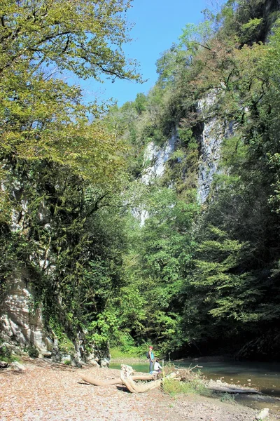 Relic Biosphere Reserve Caucasian. — Stock Photo, Image