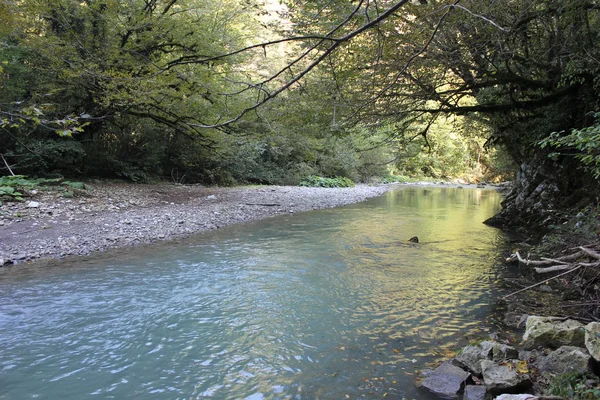 Riserva della Biosfera Reliquia Caucasica . — Foto Stock