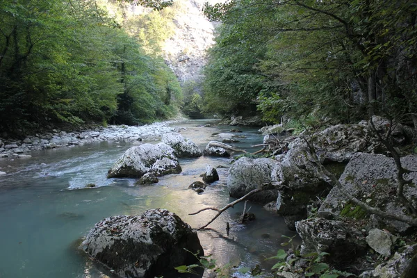 Λείψανο Biosphere Reserve Καυκάσιος. — Φωτογραφία Αρχείου