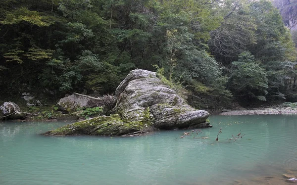 文物生物圈储备高加索. — 图库照片