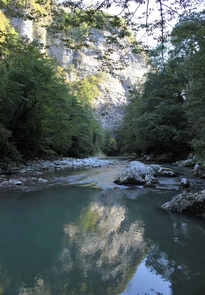 Relic Biosphere Reserve Caucasian. — Stock Photo, Image