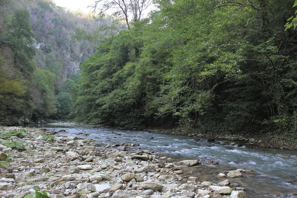 Reserva da Biosfera da Relíquia Caucasiana . — Fotografia de Stock