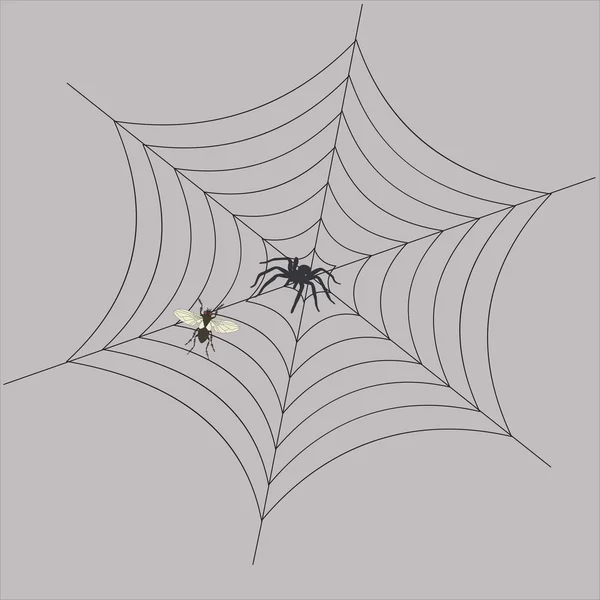 Ilustración vectorial de una mosca en una tela de araña — Archivo Imágenes Vectoriales