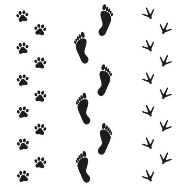 Beyaz arka plan üzerinde insan köpek ve kuş parçaları