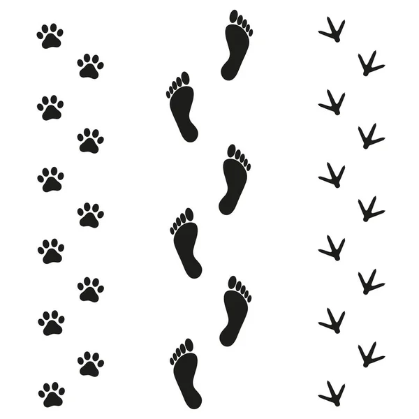 Human dog and bird tracks on white background — Stock Vector