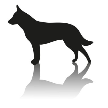Beyaz arkaplanda köpek silueti